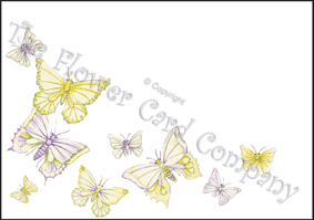 Ref: SF14 BUTTERFLY PASTEL 