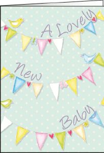 N171n BABY BUNTING